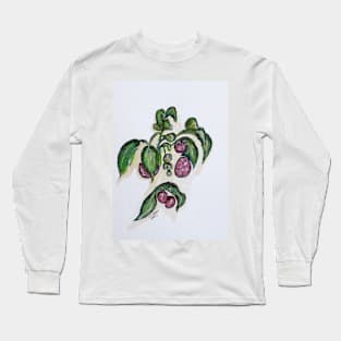 Hanging Raspberries Long Sleeve T-Shirt